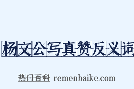 杨文公写真赞反义词是什么意思的图片